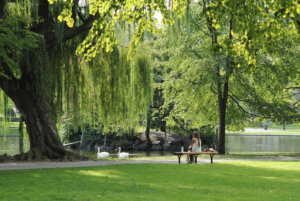 Counselling Maroochydore